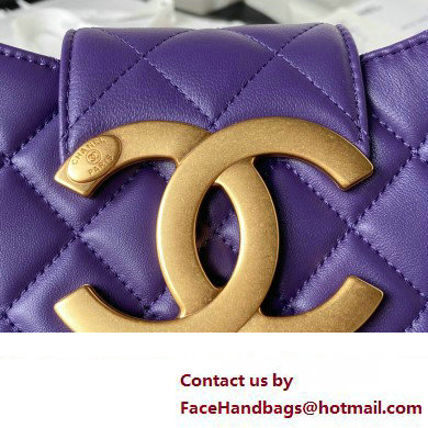 Chanel Lambskin  &  Gold-Tone Metal large Messenger Bag AS4610 purple 2024